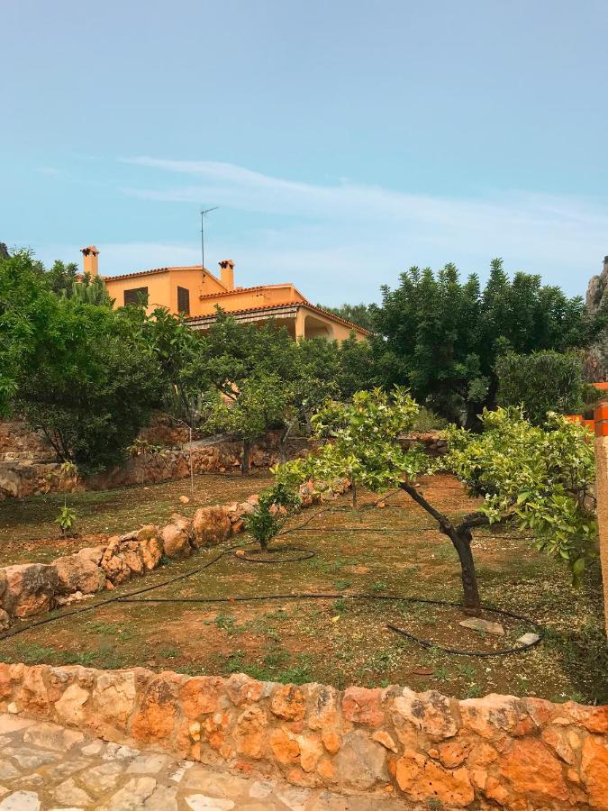 Villa La Torreta Ref 056 Кастельон-де-ла-Плана Экстерьер фото