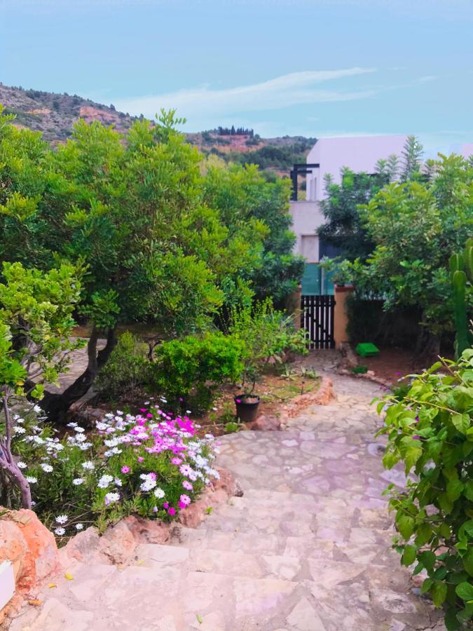 Villa La Torreta Ref 056 Кастельон-де-ла-Плана Экстерьер фото