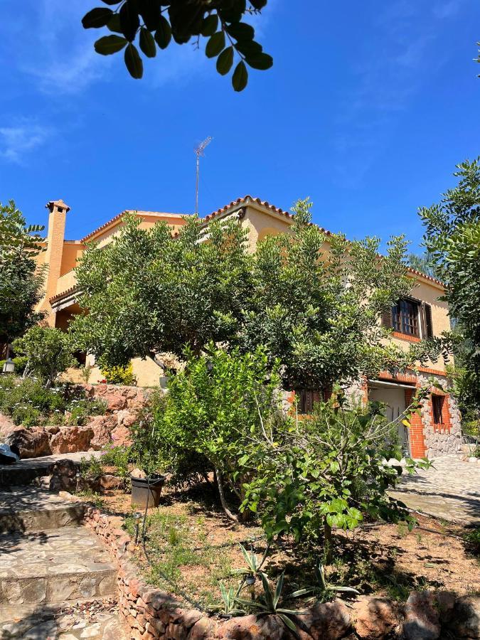Villa La Torreta Ref 056 Кастельон-де-ла-Плана Экстерьер фото